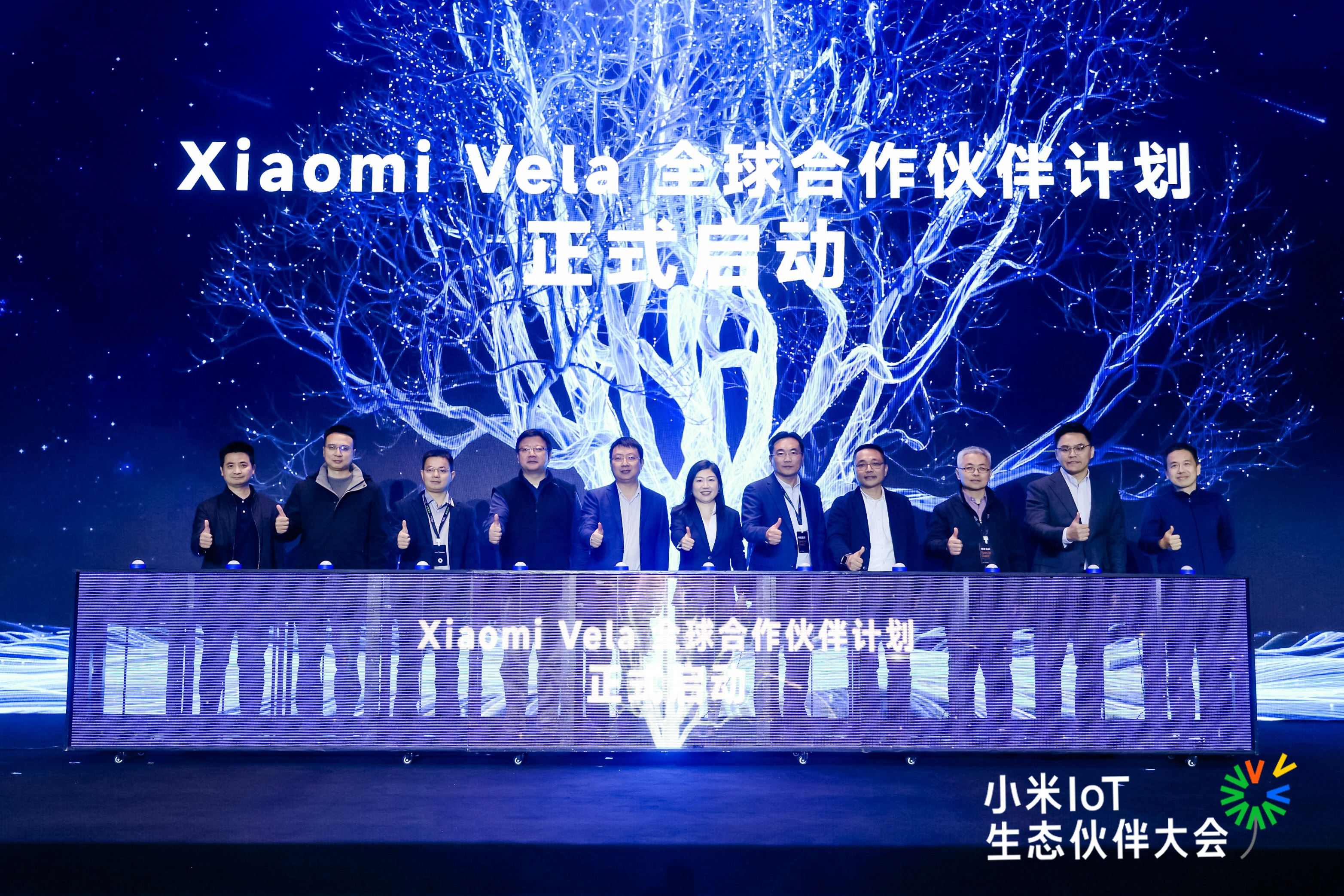 DING6679.JPG DING6679.JPG